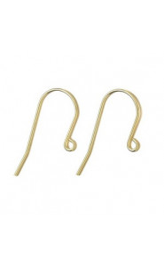 Stainless steel Earwire 13x28mm - Gold